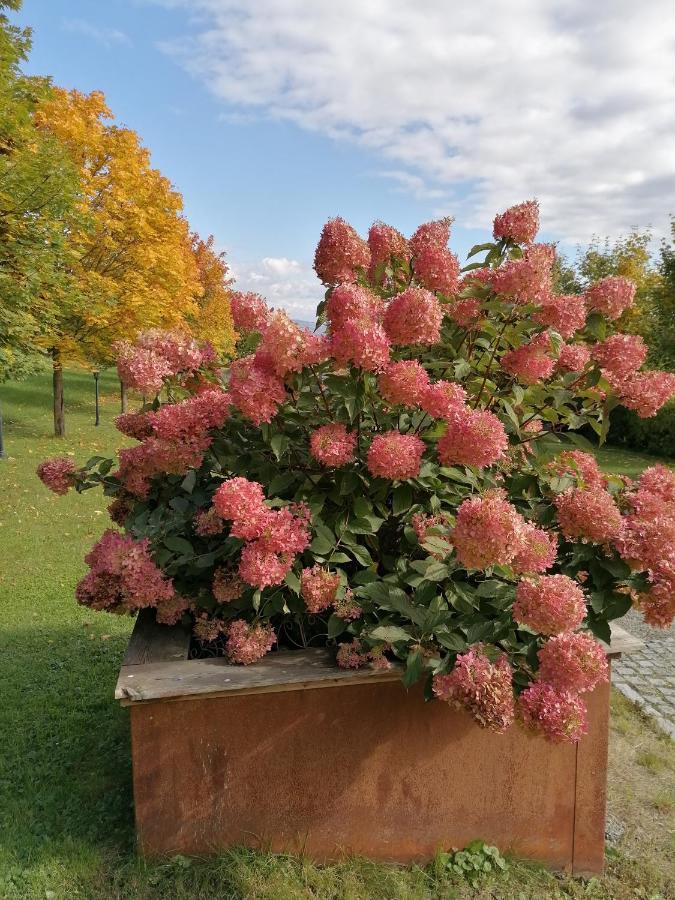 Apartment Schuhmann: Garden Retreat Near Thermal & Adventure Parks *
