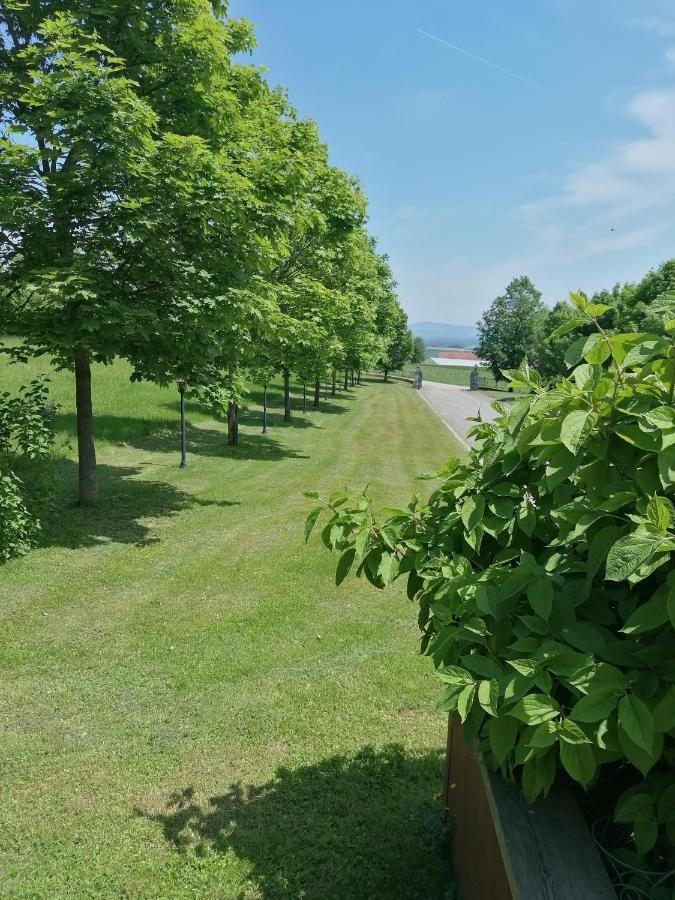 Apartamento Schuhmann Mit Wintergarten Und Garten Therme Aquapulco Und Ikuna Erlebnispark, Zoo Schmiding 20 Min Mit Auto Entfernt Ab 3 Naechte Buchbar *