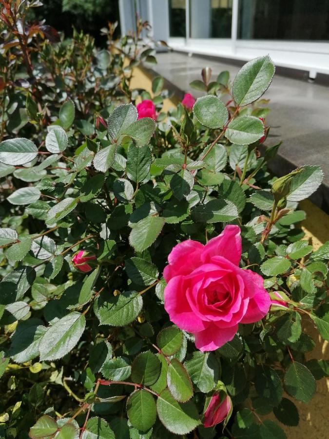 Apartment Schuhmann: Garden Retreat Near Thermal & Adventure Parks Hinzenbach